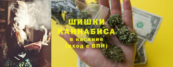 индика Россошь