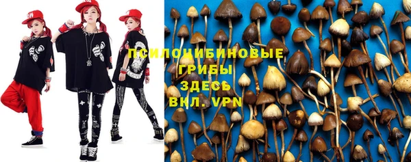 дживик Белокуриха