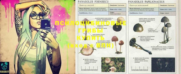 индика Россошь