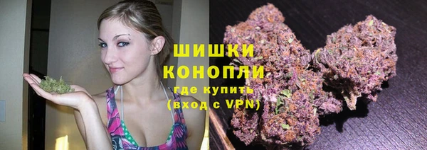 дживик Белокуриха
