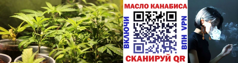 МЕГА   где купить   Верхняя Пышма  Дистиллят ТГК THC oil 